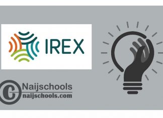 IREX Community Engagement Exchange Program 2025