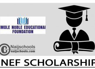 Imole Noble educational foundation scholarship 2024