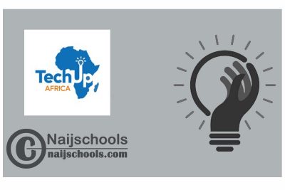 TechUp Africa Mentoring Program 2024