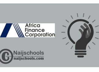 Africa Finance Corporation (AFC) Fellowship 2024