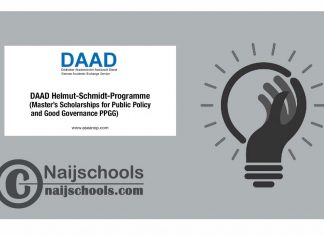 DAAD Helmut-Schmidt-Programme 2025