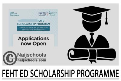 FEHT ED Scholarship programme 2024
