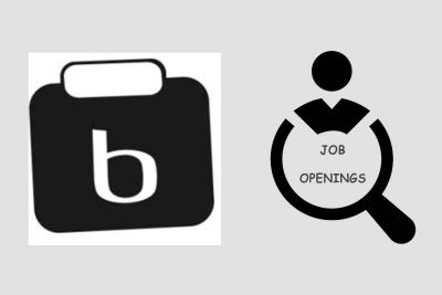 Job Openings at Biztraction Consulting