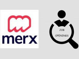 Job Openings at E-mmerx World Limited