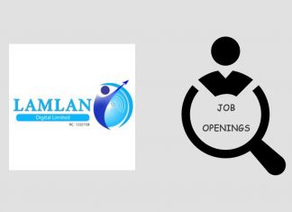 Job Openings at Lamlan Digital Limited