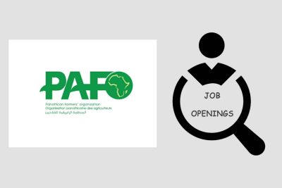 Job Openings at Pan-African Organization