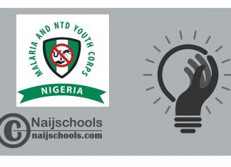 Nigeria Malaria and NTDS Youth Corps Essay Competition 2024