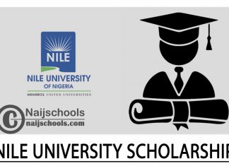 Nile University Scholarship