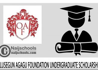 Olusegun Agagu Foundation Undergraduate Scholarship 2024