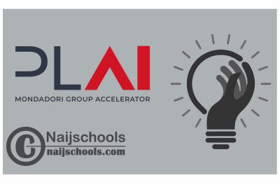 PLAI Startups Accelerator Program 2024