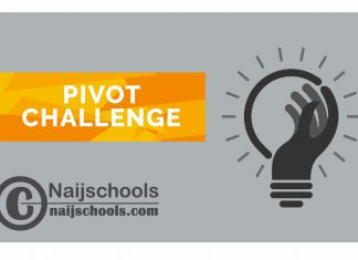 Pivot Challenge 2024