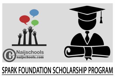 Spark Foundation Scholarship Program 2024