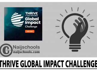 THRIVE Global Impact Challenge 2024