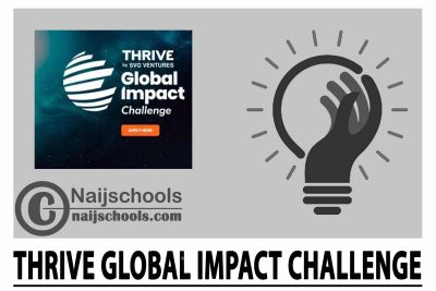 THRIVE Global Impact Challenge 2024