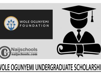 Wole Ogunyemi Undergraduate Scholarship 2024