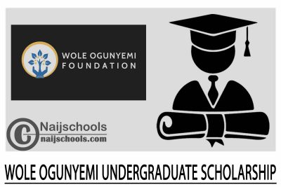Wole Ogunyemi Undergraduate Scholarship 2024